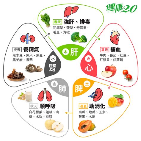 食物 五行|精選專欄